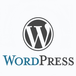 为什么做外贸独立站首选WordPress搭建？